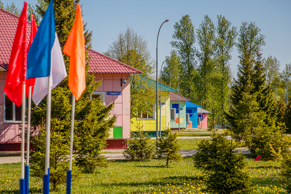 В Одинцовском округе вожатые могут оформить соцвыплату онлайн