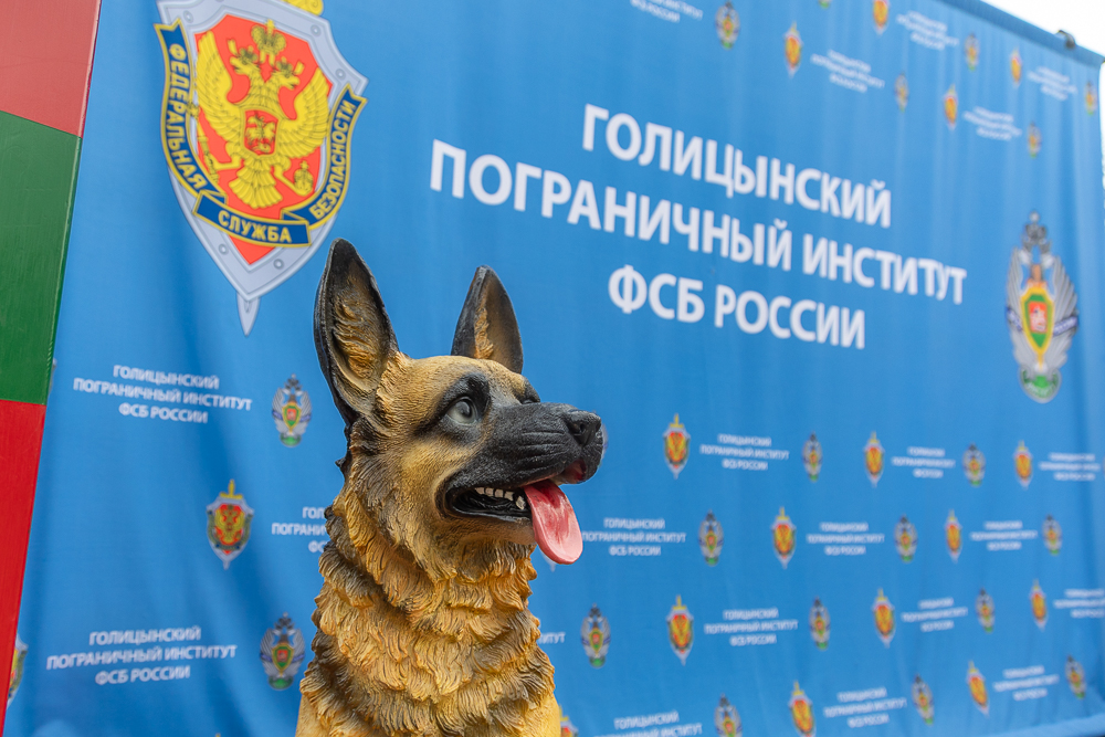 День зелёной фуражки в Голицыно
